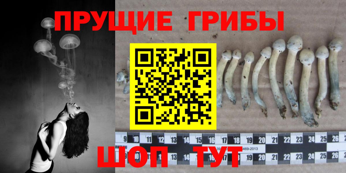 Галлюциногенные грибы ЛСД Алексеевка